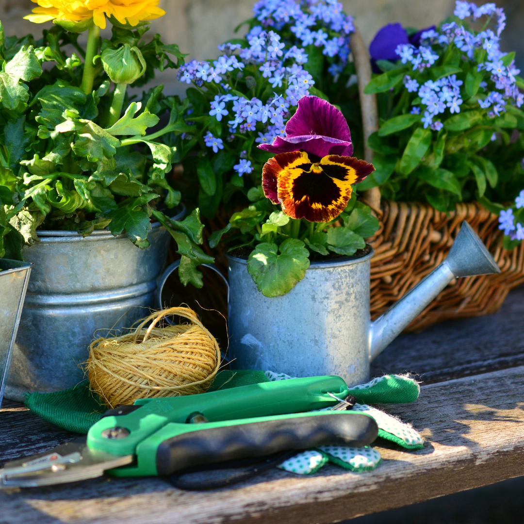 Accesorios de Jardinería